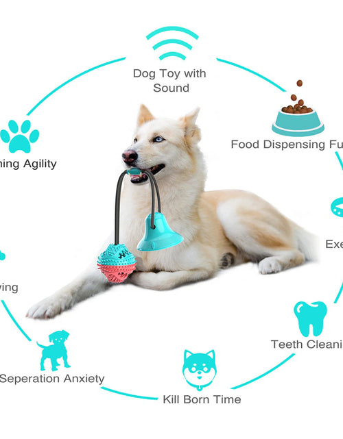 Load image into Gallery viewer, Molar Bite Interactive Dog Toy with Durable Rope and Suction Cup for Pulling/Chewing/Teeth Cleaning Self Playing Tog for Dogs
