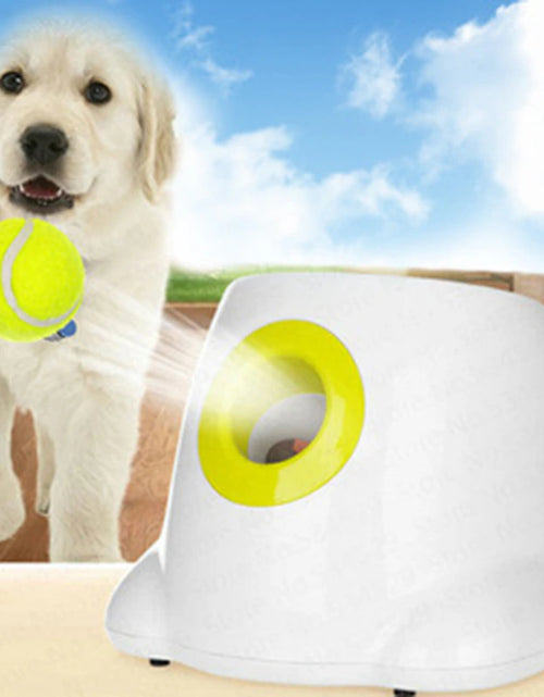 Load image into Gallery viewer, Catapult for Dogs Ball Launcher Dog Toy Tennis Ball Launcher Jumping Ball Pitbull Toys Tennis Ball Machine Automatic Throw Pet
