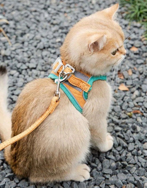 Load image into Gallery viewer, Cat Harness Leash Set for Chihuahua Accessories Dog Cat Vest Pug Leashes Walking Tools Walk Out Lead Product
