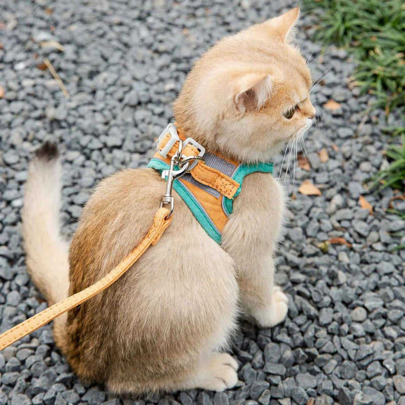 Cat Harness Leash Set for Chihuahua Accessories Dog Cat Vest Pug Leashes Walking Tools Walk Out Lead Product